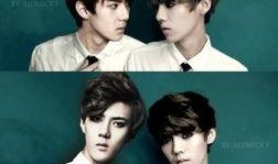 勋鹿贴吧爆料最新消息,最新动态揭秘，粉丝热议不断！