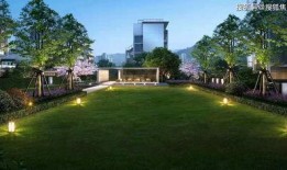 开封小学生最新爆料电话,揭秘校园电话背后的秘密