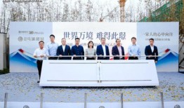 中单打野最新爆料出装,揭秘最新出装策略，助你战场称霸！