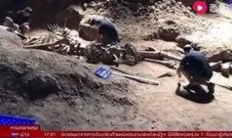 金字塔最新爆料视频,最新爆料视频深度解析