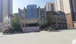 成都碧桂园爆料最新消息,揭秘项目进展与未来规划