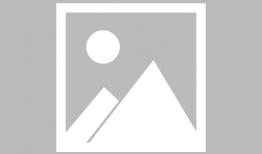 vivo 手机最新爆料,颠覆性新机即将亮相，5G 折叠屏技术引领潮流