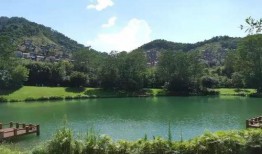 清远碧桂园爆料最新消息