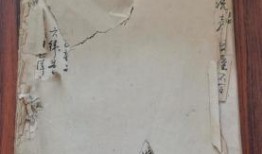 德阳沙拉店爆料事件最新,食品安全问题引发社会关注