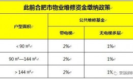 合肥王先生最新爆料,揭秘背后惊人真相！