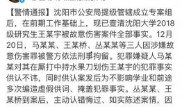 沈阳学生爆料案件最新情况,真相逐步浮出水面