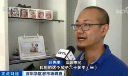 叶先生最新爆料深圳,深圳发展新动向